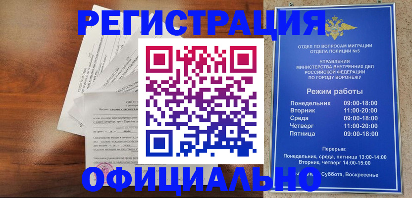 прописка поиск в Вологодской области